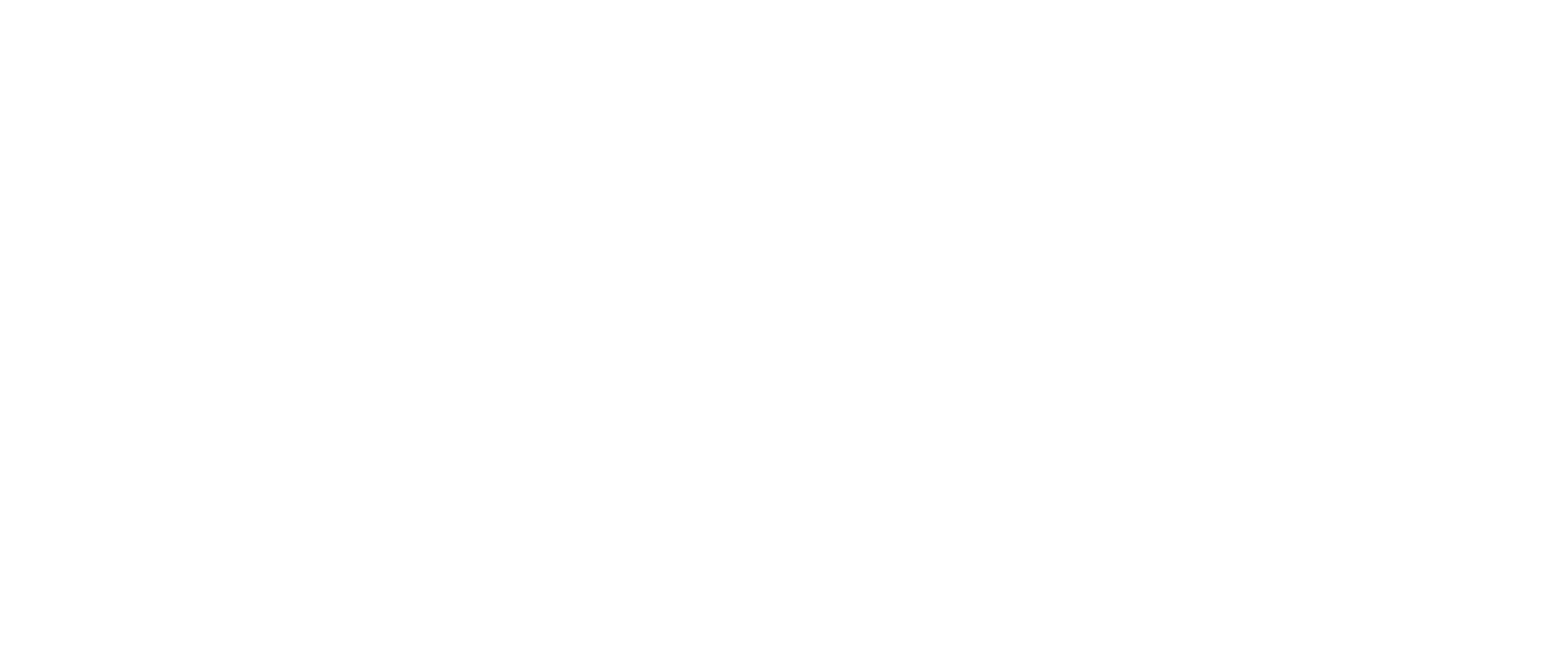 TT_Shopping_Logo_RGB_White simplified_Stacked